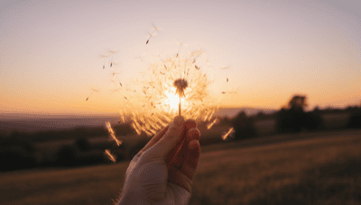 執着を手放す方法